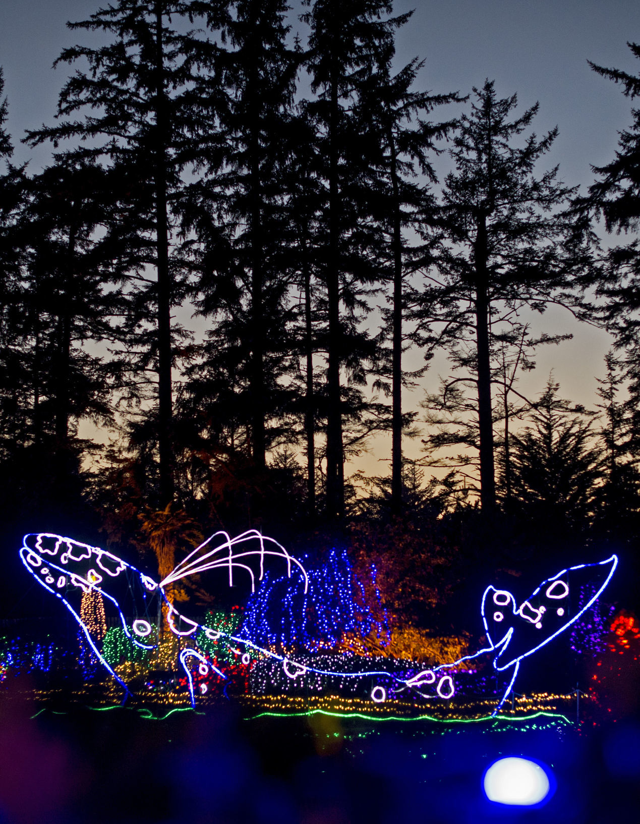 Shore Acres Holiday Display